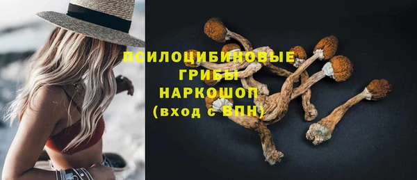 СК Богданович